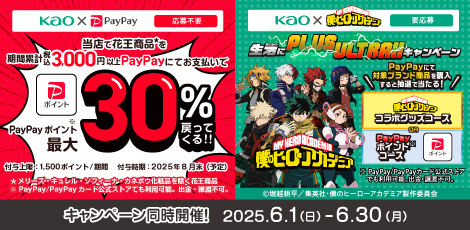 花王PayPayキャンペーン