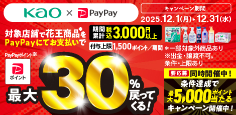 花王PayPayキャンペーン