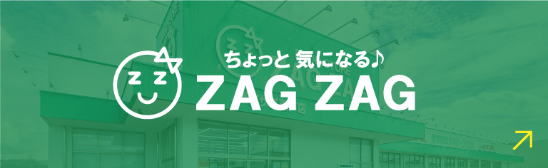 ちょっと気になる♪ZAGZAG